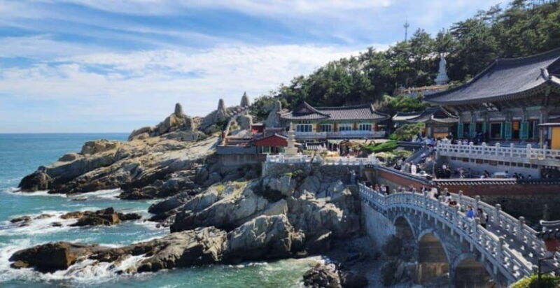 busan-private-full-day-tour-by-ktx-from-seoul