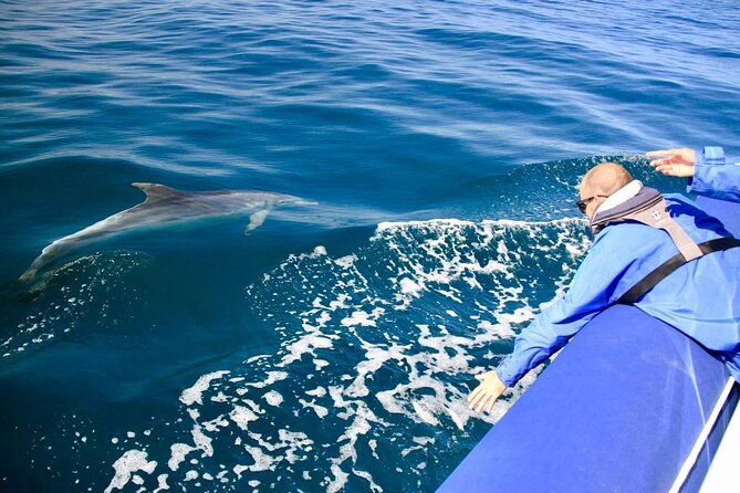 Byron Bay Dolphin Tour - Ocean Safari - Group Size and Comfort