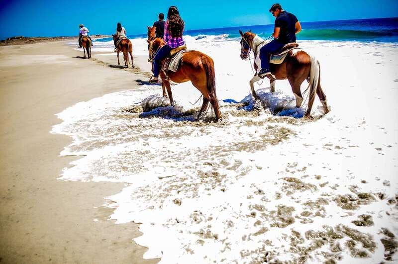 cabo-san-lucas-horseback-riding-in-migrino-with-transfers