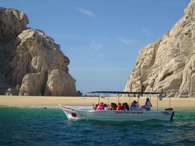 cabos-1-glass-bottom-boat-arch-amazing-wildlife
