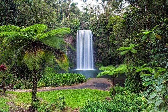 Cairns & Port Douglas All-Inclusive 7 Days Touring Package - Port Douglas: A Charming Coastal Retreat