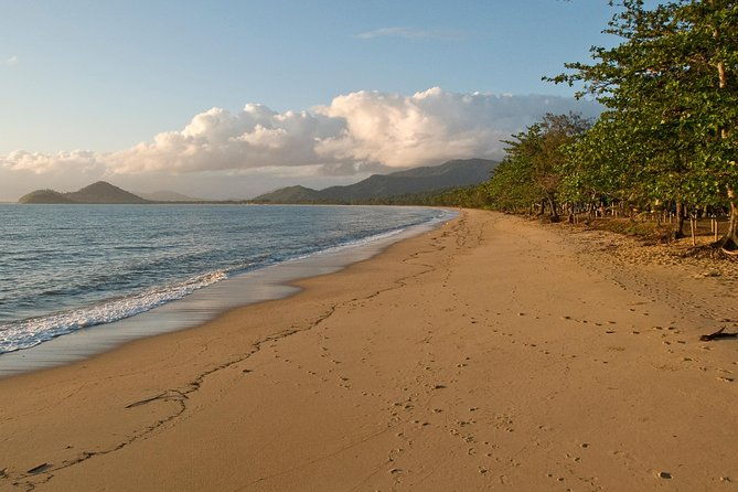 Cairns Reef/Rainforest : Daintree Rainforest & Great Barrier Reef - Authentic Experiences from Reviews