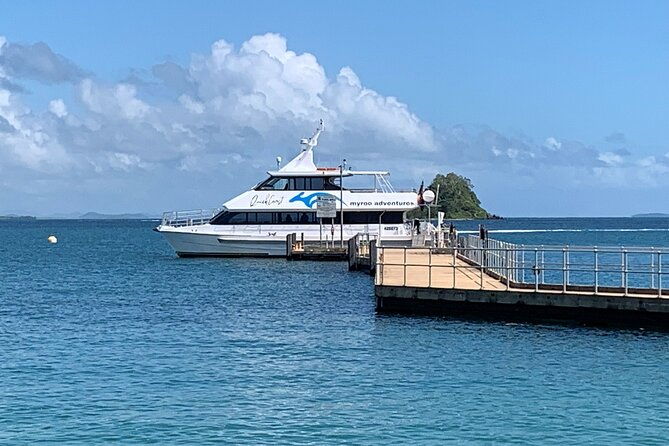Cairns: Semi-Private | Outer Reef Snorkel & Dunk Island - The Experience on the Water