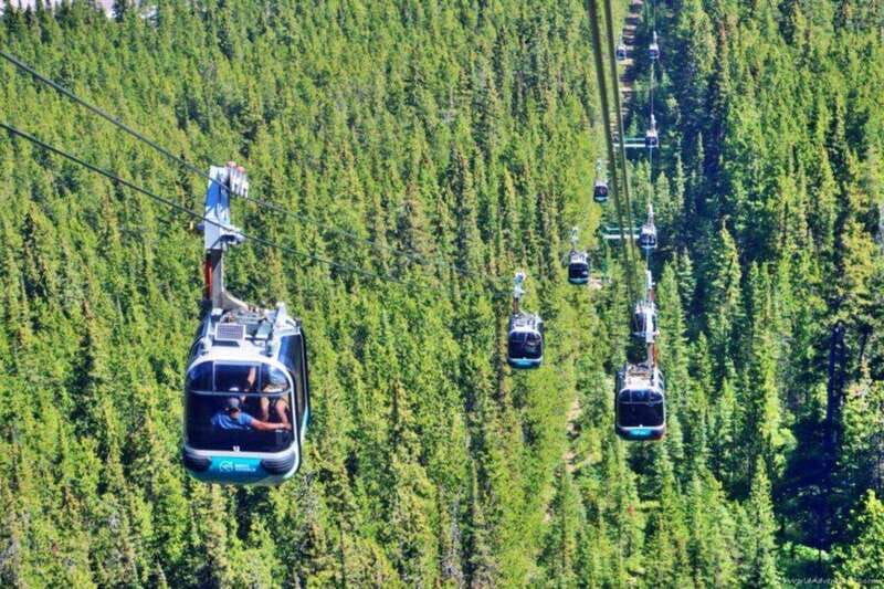 calgary-banff-gondola-lake-louise-and-emerald-lake-tour