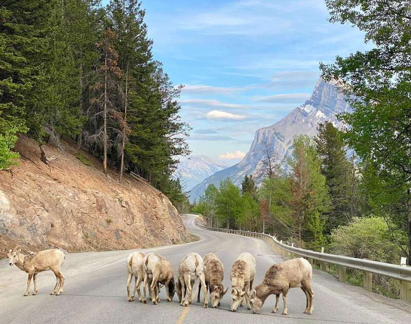 calgary-canmore-banff-national-park-lake-louise-day-trip