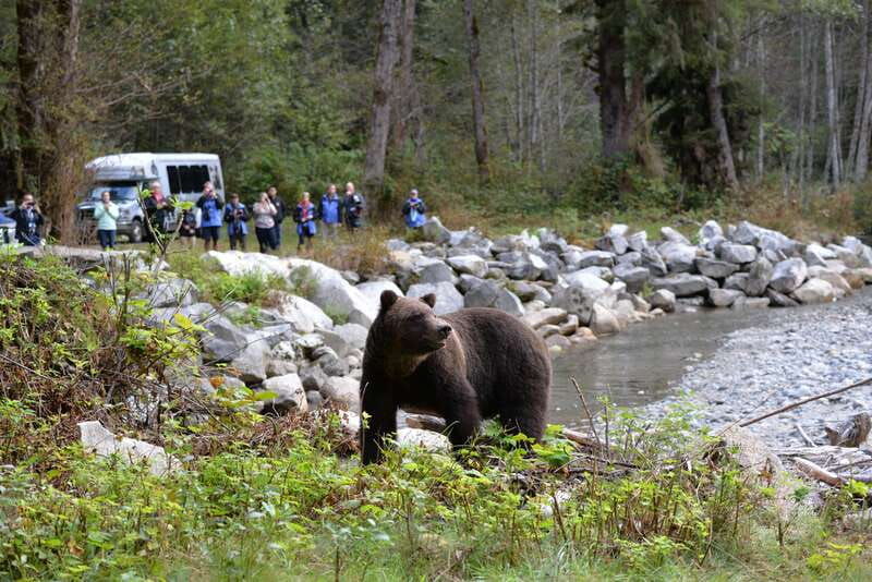 campbell-river-deluxe-grizzlies-indigenous-culture-tour
