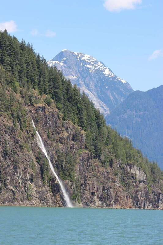 campbell-river-spring-bear-watching-waterfalls-boat-tour