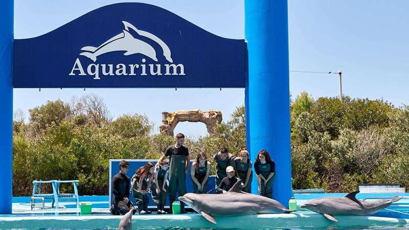 cancun-ticket-for-the-interactive-aquarium