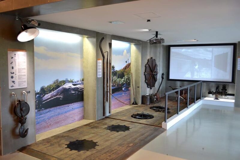 canical-madeira-whale-museum-entry-ticket