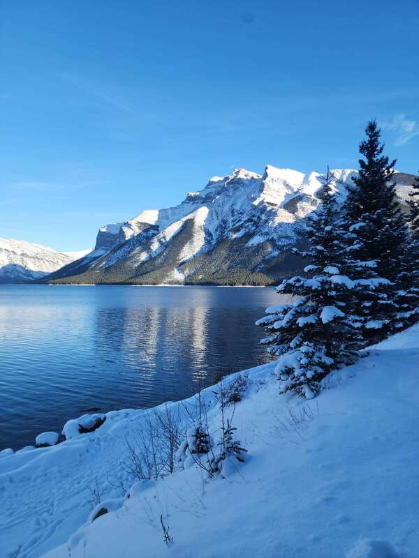 canmore-banff-explore-banff-wildlife