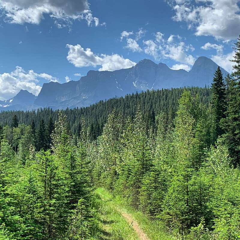 canmore-lost-towns-and-untold-stories-hiking-tour-3hrs