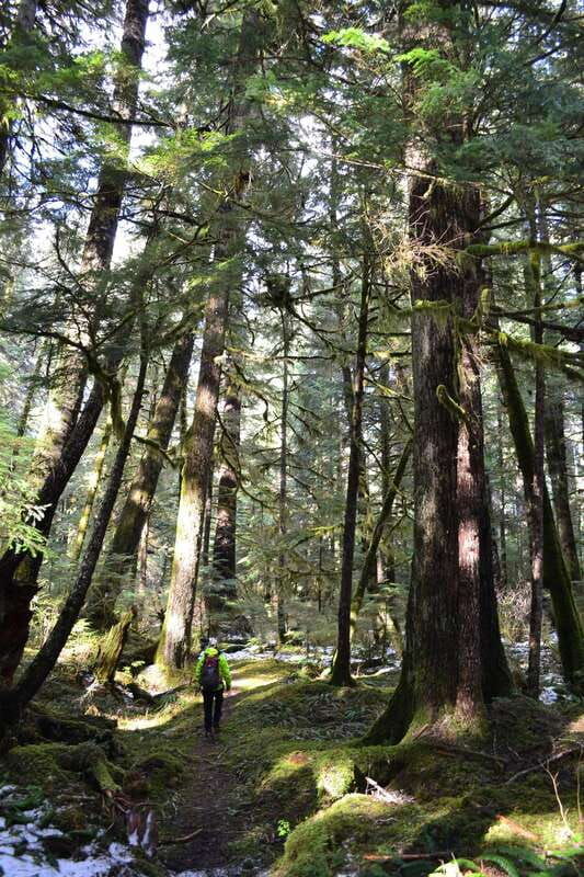 cape-scott-san-josef-bay-day-hike-with-scenic-drive