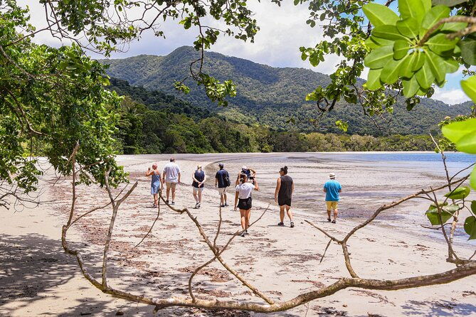 Cape Tribulation & Ziplining: Ultimate Daintree - Who Is This Tour Best For?