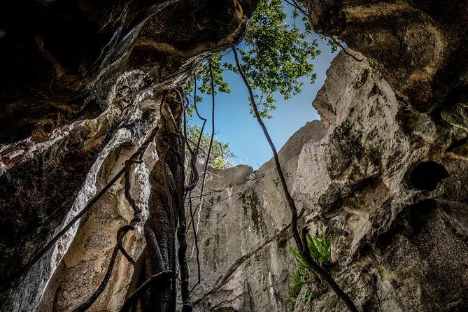 Capricorn Caves Capricorn Explorer - Who Should Consider This Tour?