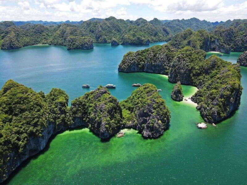 cat-ba-island-lan-ha-bay-bioluminescence-plankton-kayaking