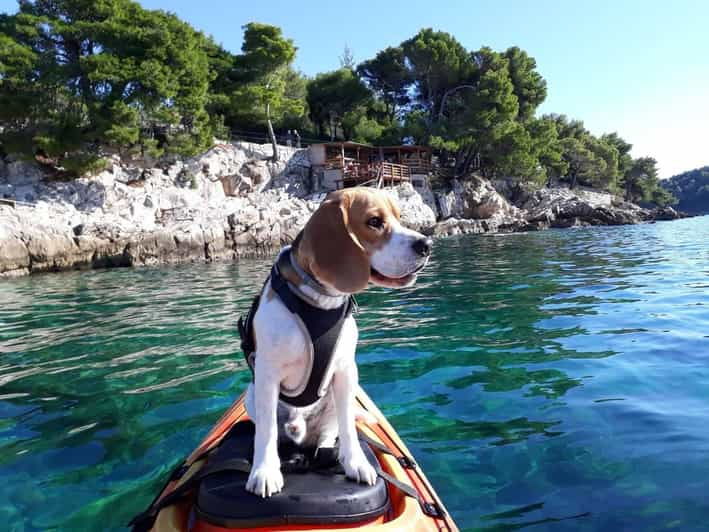 cavtat-guided-sea-kayaking-tour
