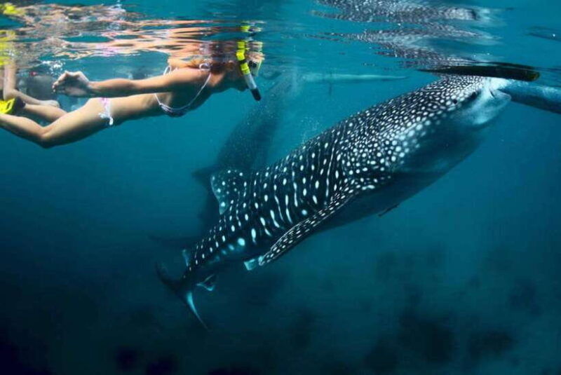 cebu-2-days-highlights-tour