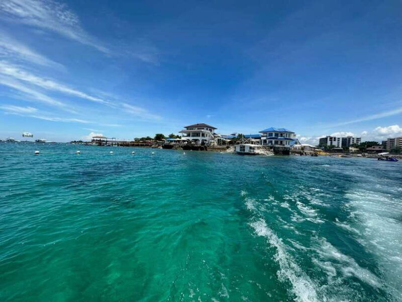 cebu-boat-diving-two-dive-tour-in-olango-island