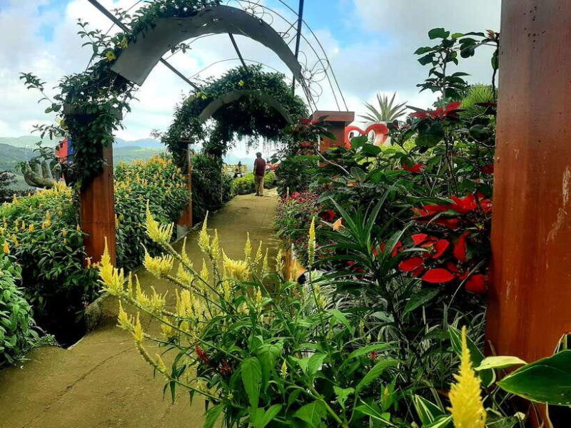 cebu-city-cultural-heritage-tour-10000-roses-visit