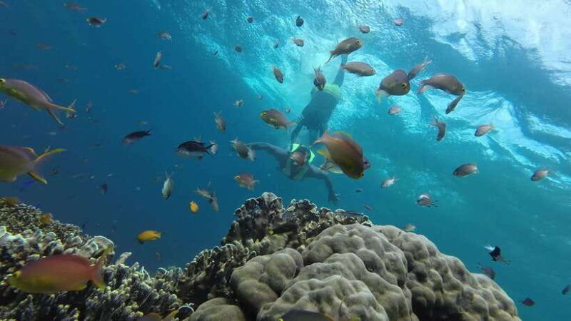 cebu-moalboal-adventure-combo-snorkel-canyoneering-lunch