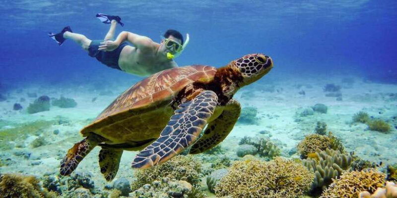 cebu-moalboal-snorkeling-kawasan-canyoneering-adventure-2