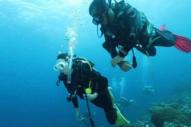 Cebu: Scuba Diving Experience beach entry in Mactan - FAQ