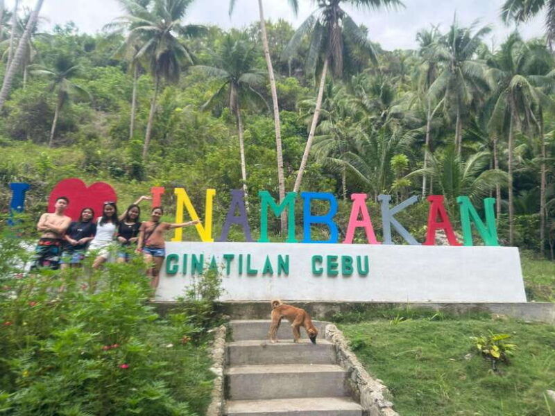 cebu-whale-shark-inambakan-falls-moalboal-sardine-tour