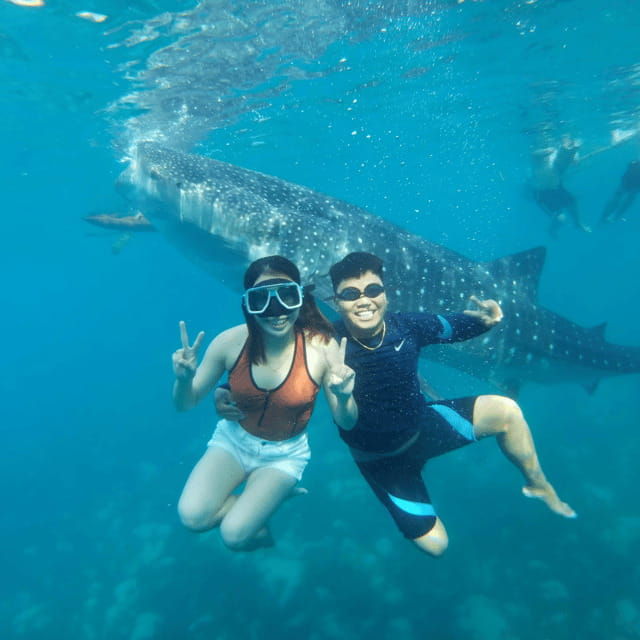 cebu-whale-sharks-tumalog-falls-sumilon