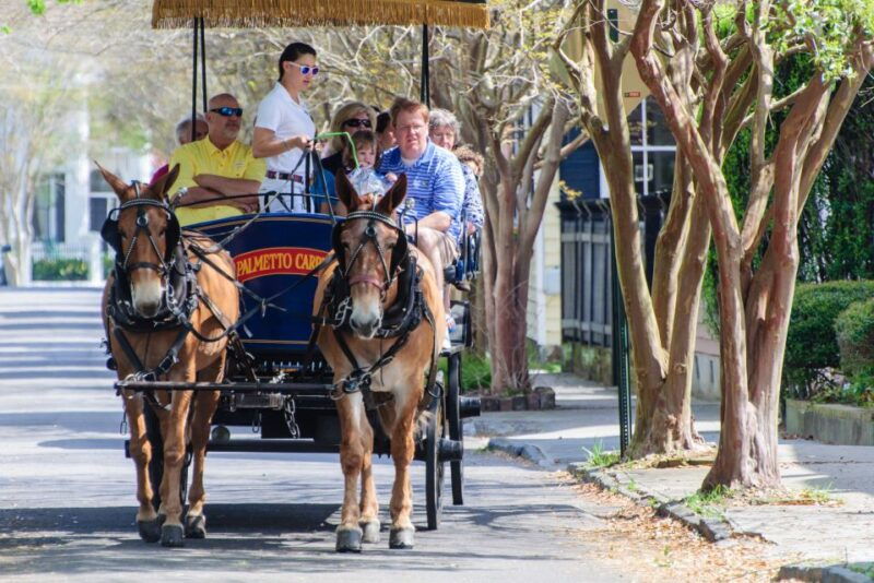 charleston-downtown-horse-drawn-carriage-tour