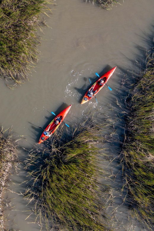charleston-folly-beach-kayak-dolphin-safari