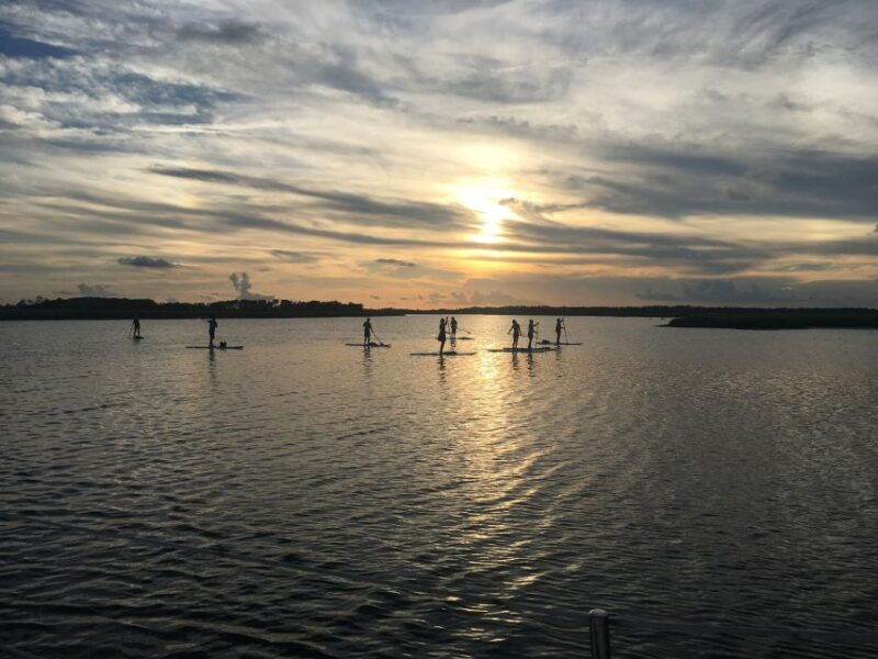 charleston-folly-beach-stand-up-paddleboard-dolphin-safari