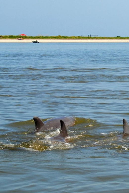 charleston-morris-island-lighthouse-eco-boat-tour