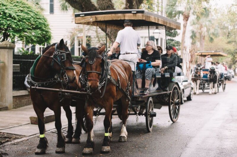charlestonevening-haunted-history-horse-drawn-carriage-tour
