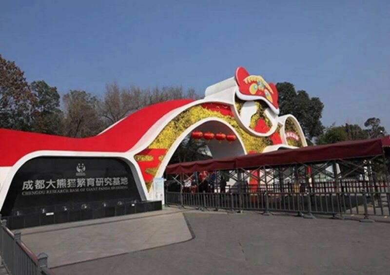 chengdu-panda-leshan-buddha-one-day-private-tour