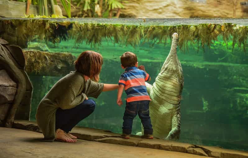 chester-chester-zoo-entry-ticket