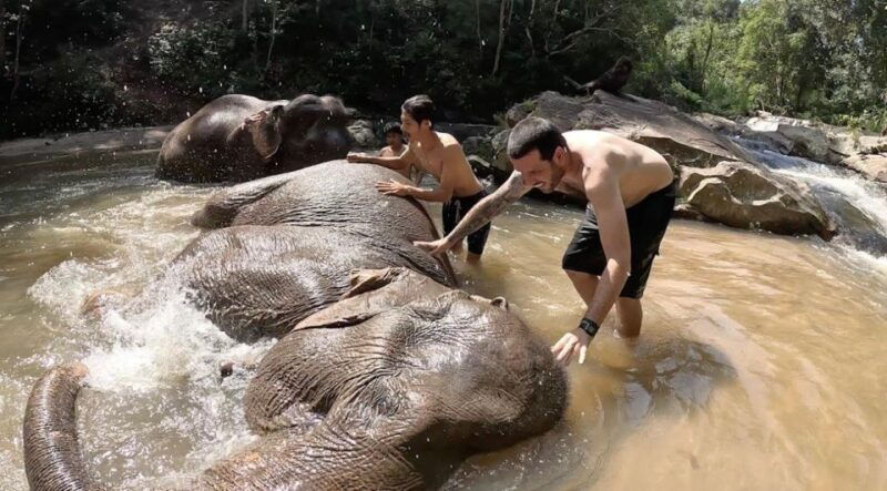chiang-mai-ethical-elephant-sanctuary-and-atv-adventure