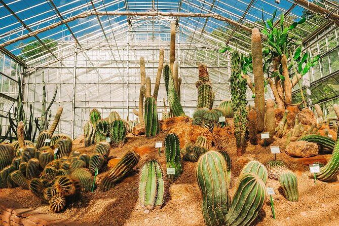 Chiang Mai Mon Jam Highlands and Pongyang Full-Day Private Tour - Queen Sirikit Botanic Garden: A Lush Green Escape