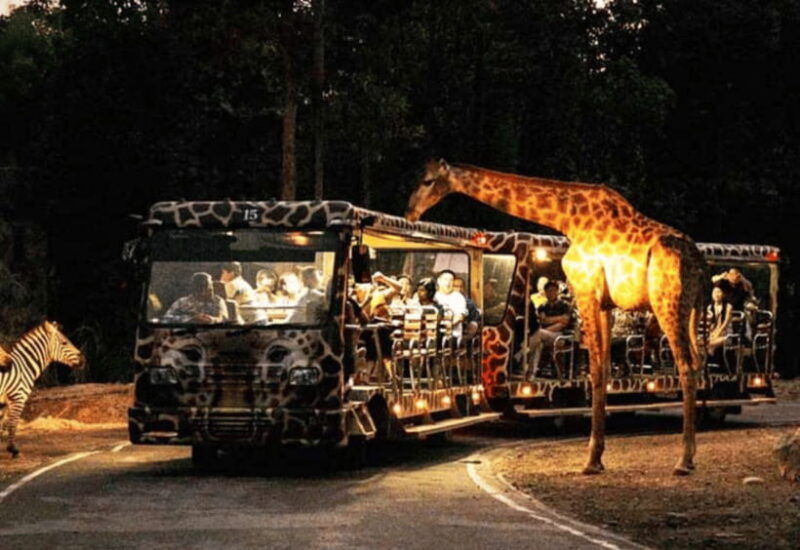 chiang-mai-night-safari-ticket-with-transfer