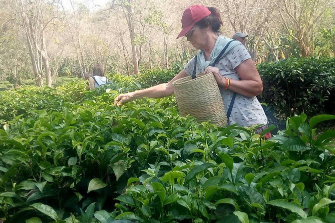 Chiang Mai Private Tour with Tea Plantation, Karen Village, Doi Suthep - First Stop: Karen Long Neck Village (50 minutes)