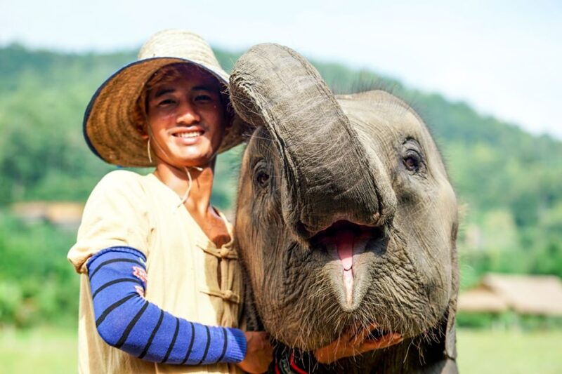 chiang-mai-small-group-ethical-elephant-sanctuary-tour