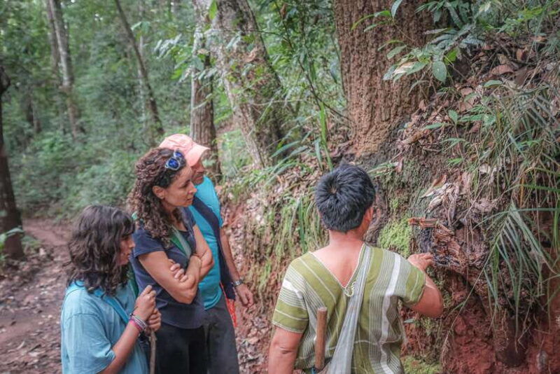 chiangmai-hilltribe-coffee-forest-trek-plant-roast-brew