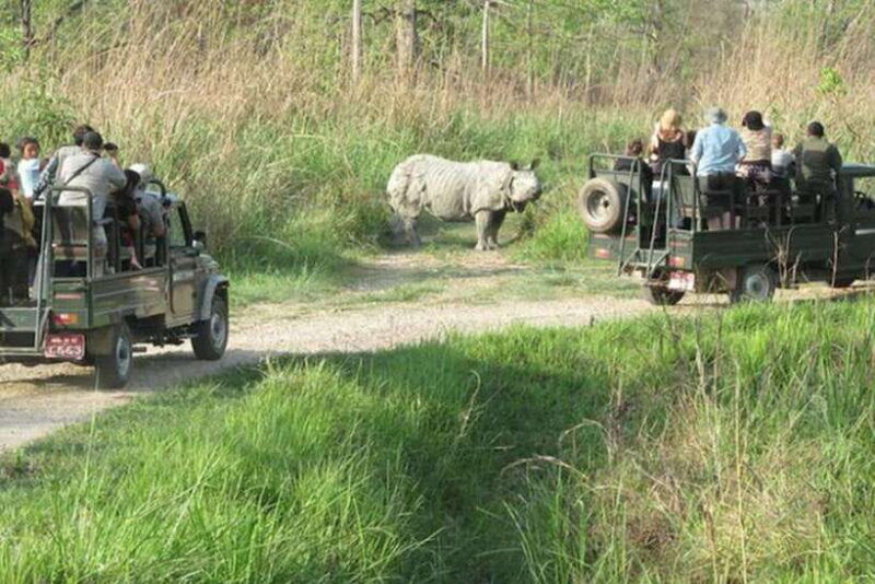chitwan-national-park-tour