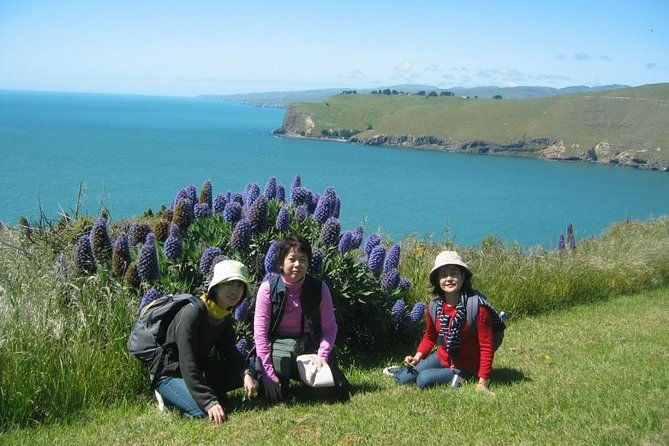 Christchurch Coastal Hiking Tour - Exploring the Itinerary in Detail
