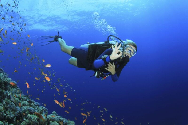 city-of-side-scuba-diving-with-pickup-lunch-and-2-dives