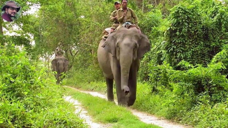 city-tour-discover-aluthgama-with-thrilling-adventures