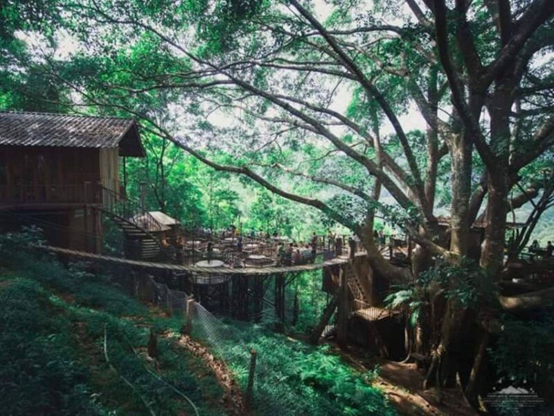 cnx-trekking-villager-living-in-forest-tea-coffee-farm