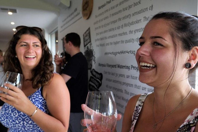Coast to Vines: E-bike*, Paddle Board and Wine Tour (2 options) - Final Thoughts: Who Is This Tour Perfect For?