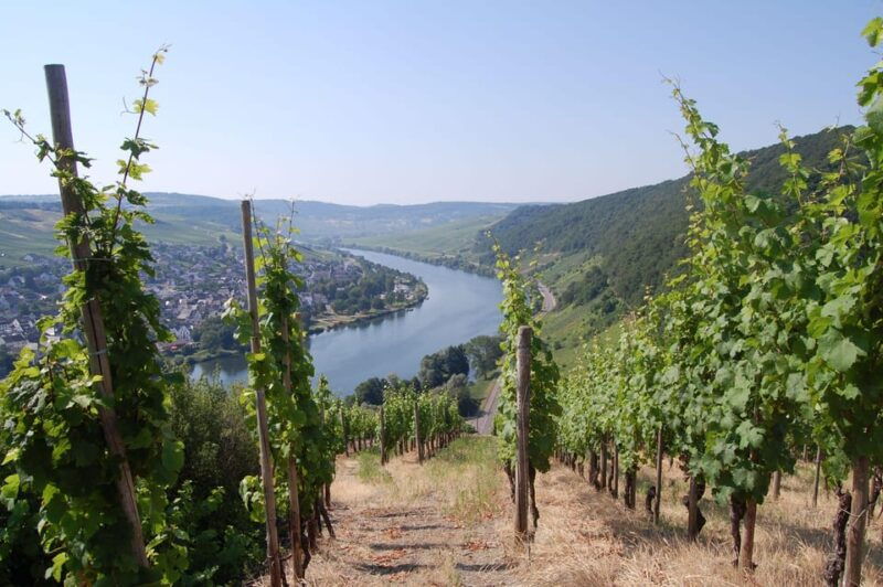 cochem-moselle-wine-experience-hike-with-boat