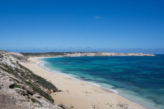 Coffin Bay Oysters, Ocean & Nature Tour - Practical Considerations