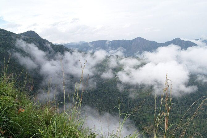 Coimbatore to Ooty- transfers+Hotel+Sightseeing - Who Should Book This Tour?